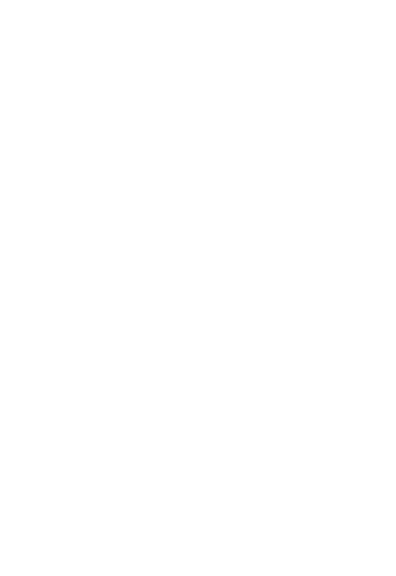 Partner 16
